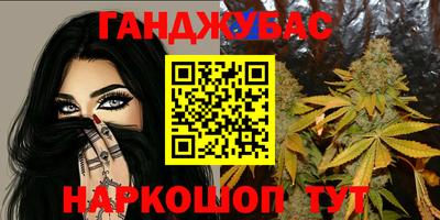 прущие крисы Шелехов