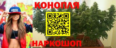 гашик Шахты