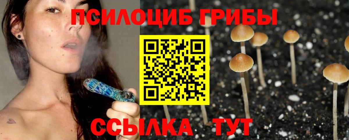 Галлюциногенные грибы Magic Shrooms  Вход с VPN  Амурск  Галлюциногенные грибы ЛСД 